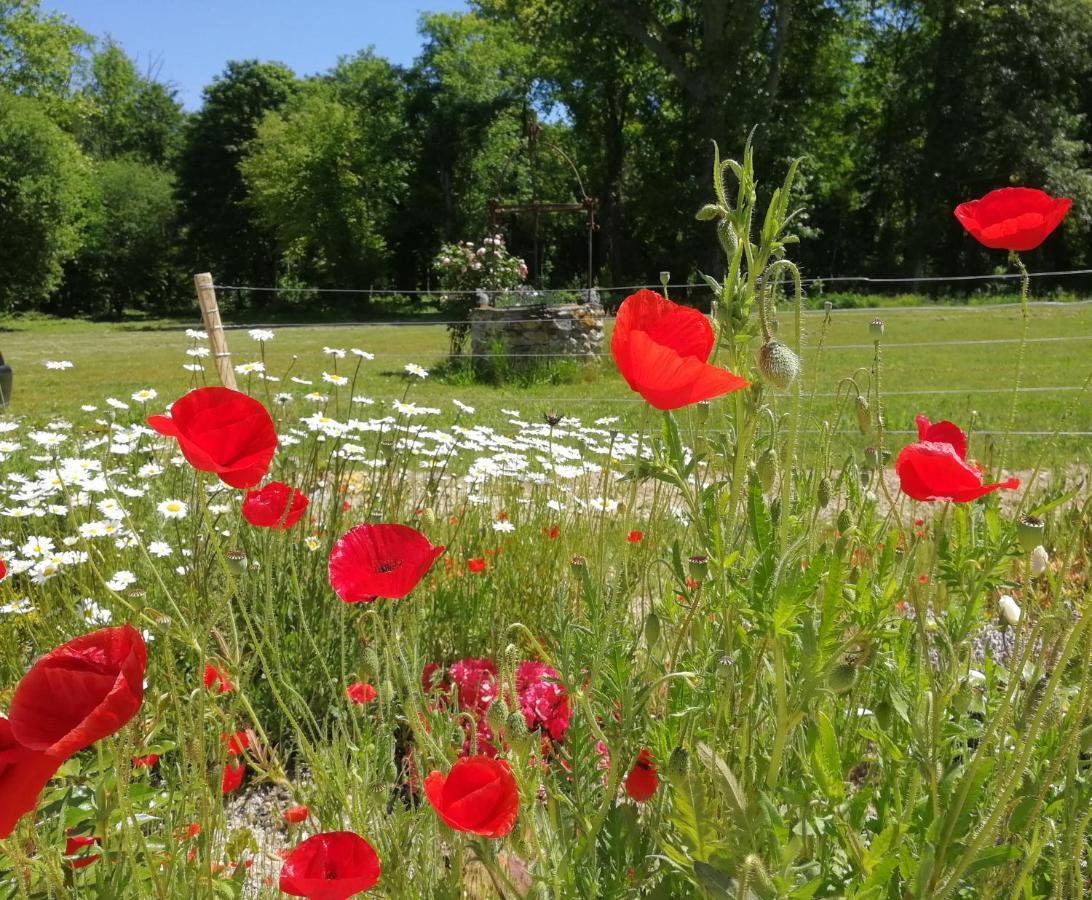 Chateau De Courmelois Champagne Guest House Val de Vesle Buitenkant foto