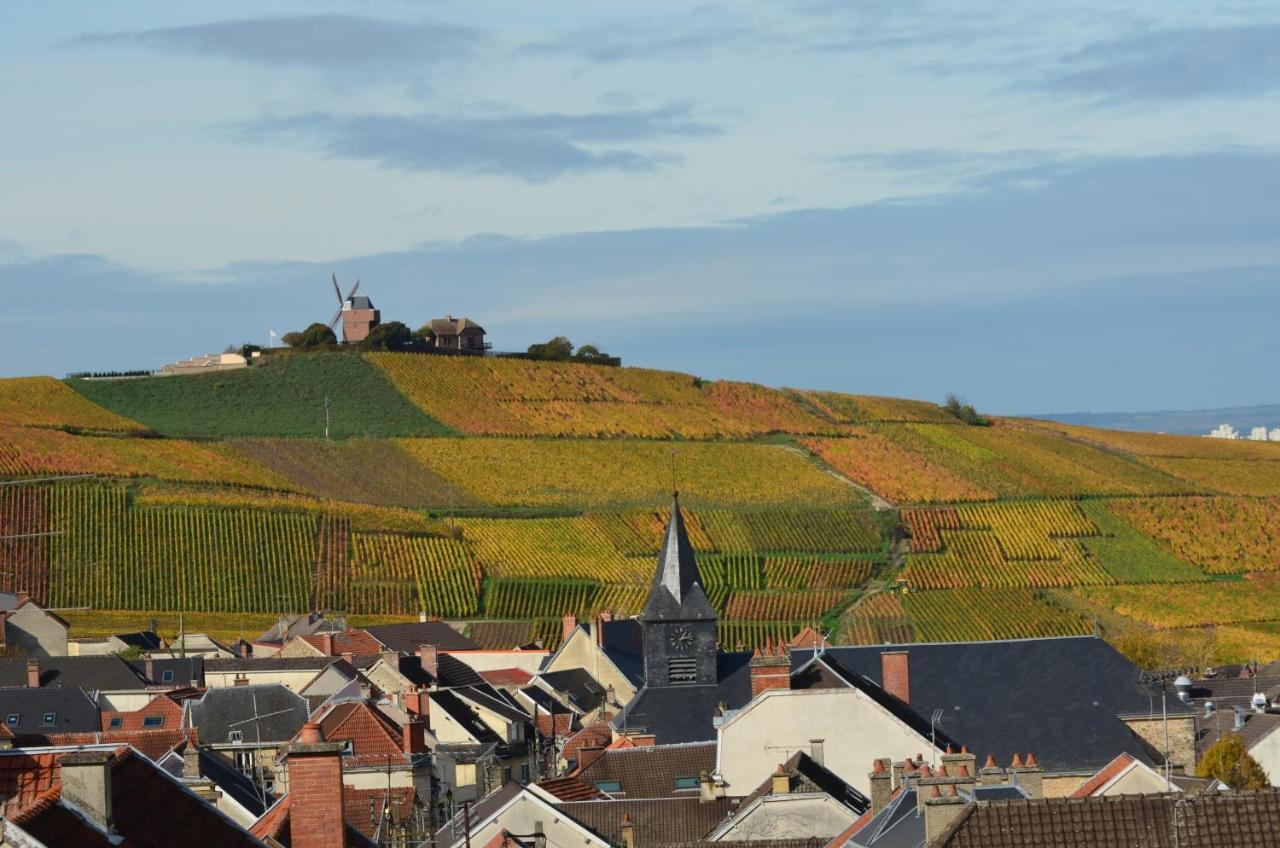 Chateau De Courmelois Champagne Guest House Val de Vesle Buitenkant foto